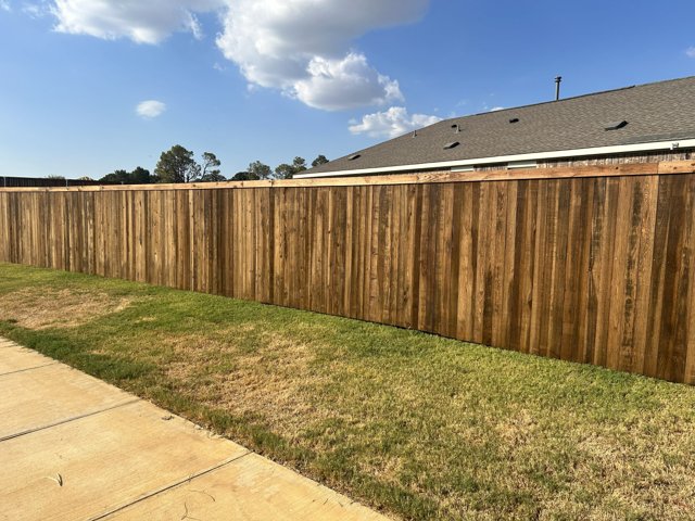 Wood fence boards and fence line.