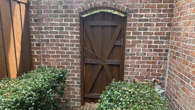Wood fence and gate beside an exterior yard.