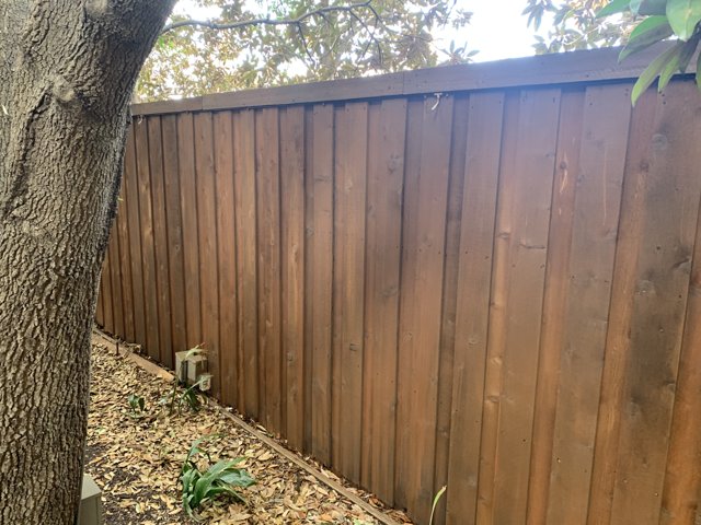 Stained wood fence and gate detail.