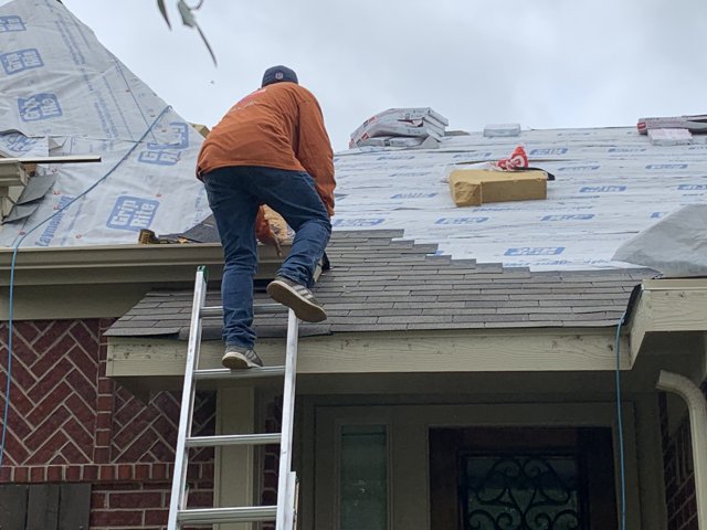Roof worker facing away while installing shingles.